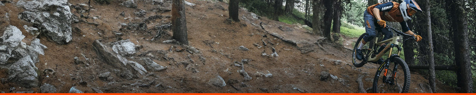 Marchio | MAXXIS