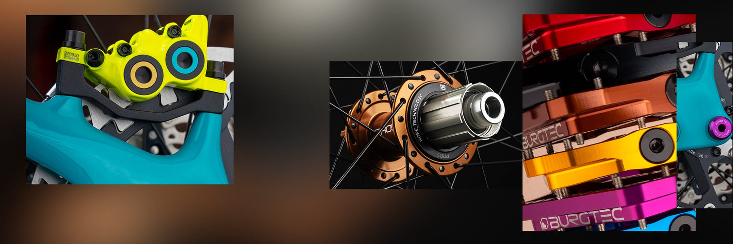 Mostra i tuoi colori