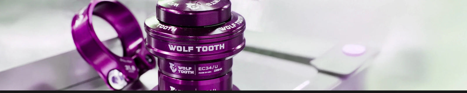 Marca | DENTE DI LUPO