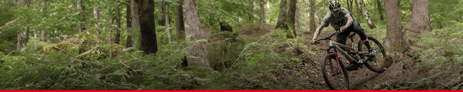 Marche | DT SVIZZERO