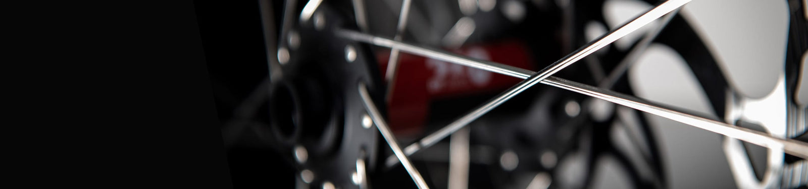 Mountain bike | Raggi