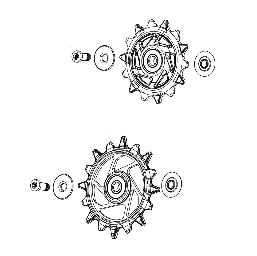 Kit gabbia deragliatore SRAM XX-SL T-TYPE EAGLE AXS (14 e 16 deNTS Magic Wheel)