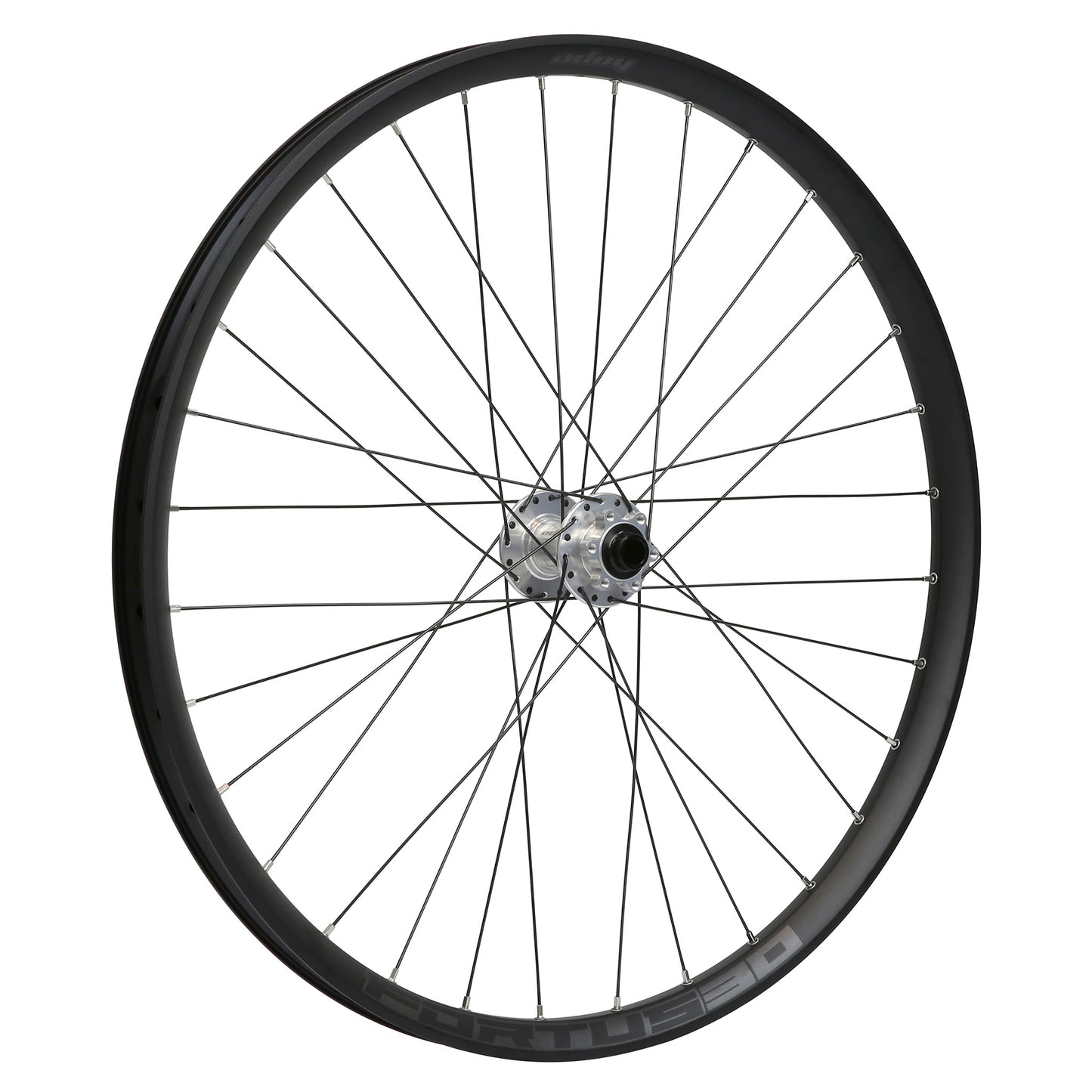 Ruota anteriore HOPE FORTUS 30 W 29" PRO 5 15x110 mm Boost Argento