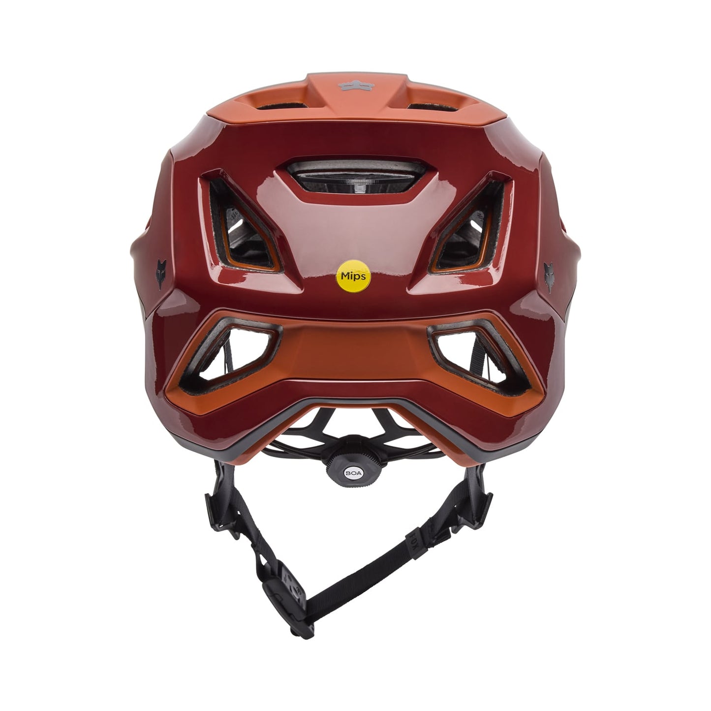 FOX SPEEDFRAME RS PARANOID MIPS Casco MTB Marrone 2025
