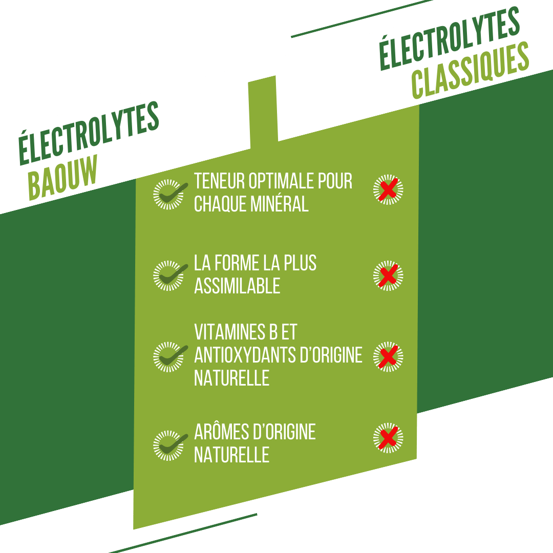 BAOUW Bevanda energetica (Tubo da 10 compresse) Lime/Menta