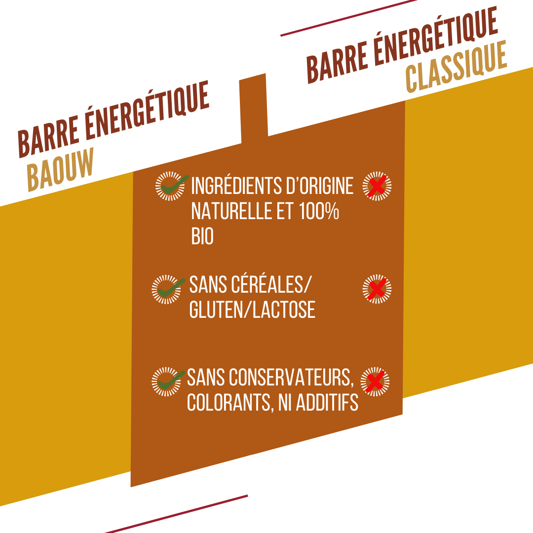 BAOUW ORGANIC EXTRA Barretta energetica al mango e anacardi (50 g)