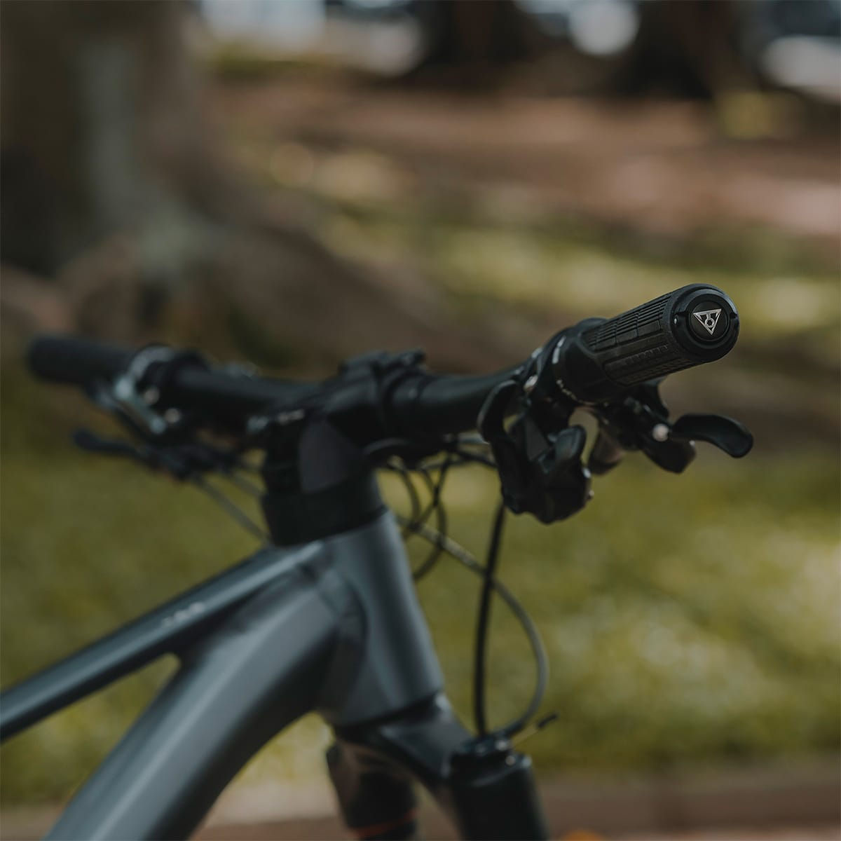 Multitool TOPEAK PLUG'N TOOL MOUNTAIN