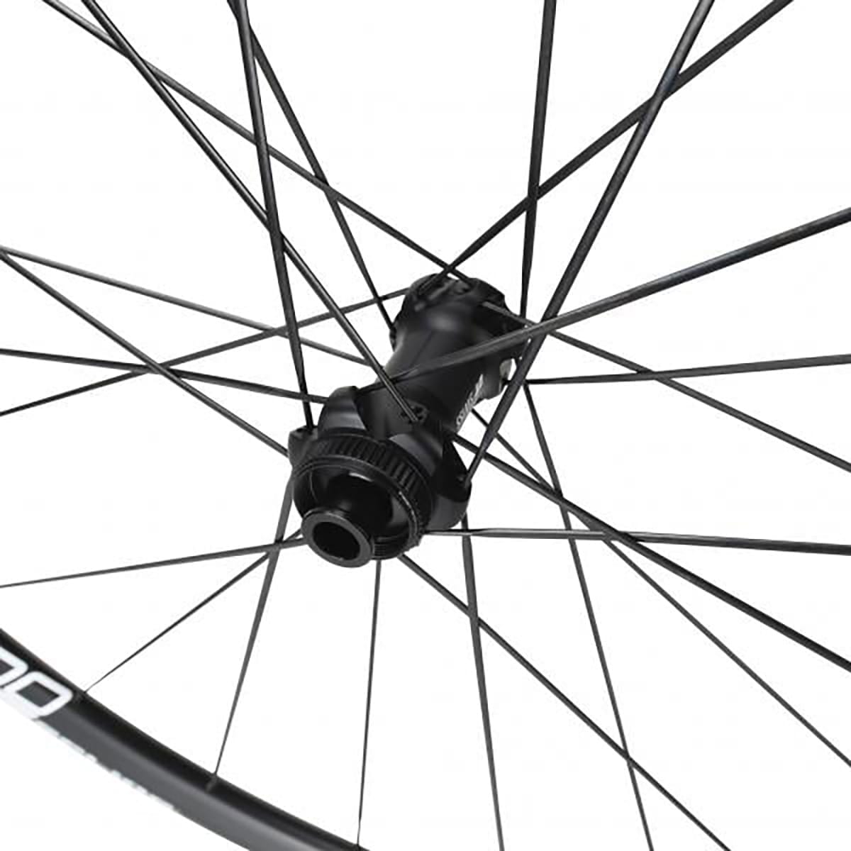 DT SWISS E 1800 SPLINE 23 DISC Ruota posteriore con pneumatici (bloccaggio centrale)