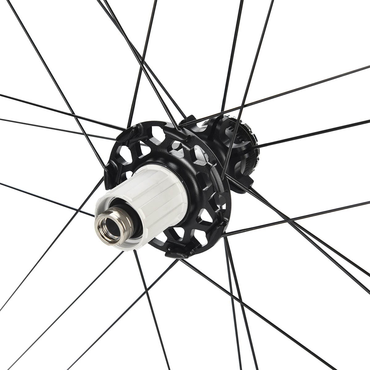 Coppia di ruote CAMPAGNOLO ZONDA DISC Limited Edition con pneumatici (chiusura centrale)