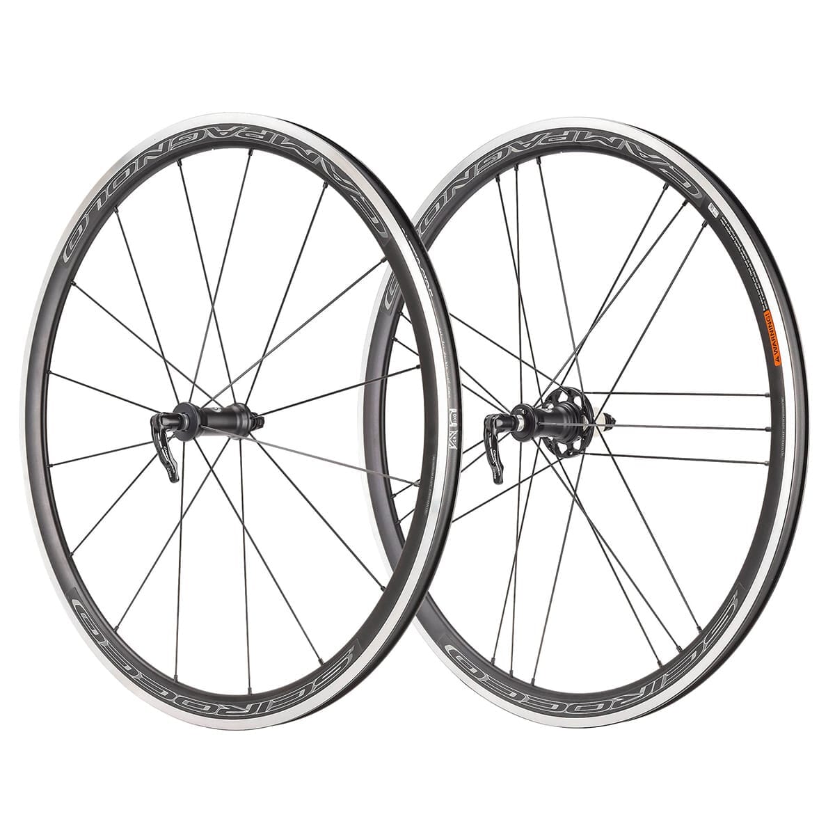 Set Di Cuscinetti Per Mozzo Posteriore Campagnolo Scirocco Set Di Cuscinetti Per Mozzo Posteriore Campagnolo Scirocco