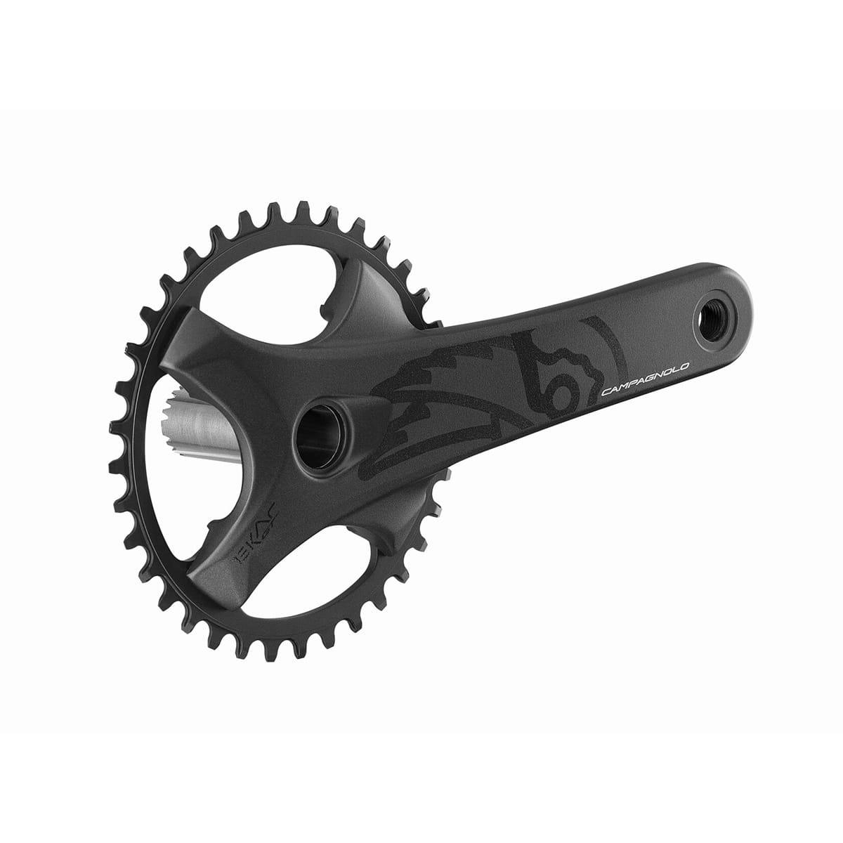 Guarnitura CAMPAGNOLO EKAR GT 13V