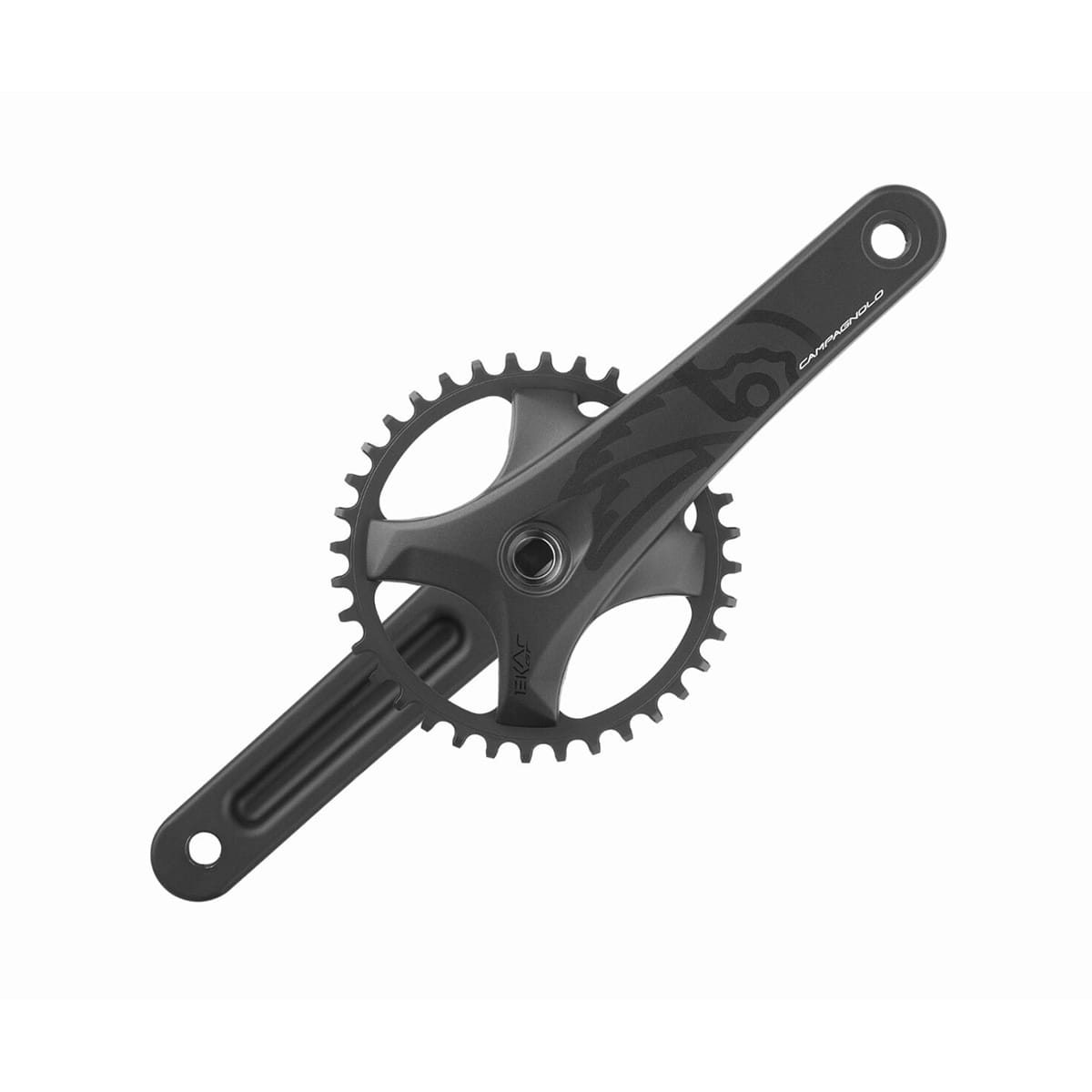 Guarnitura CAMPAGNOLO EKAR GT 13V