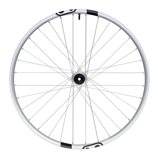 Ruota posteriore CRANKBROTHERS SYNTHESIS Alluminio 2.0 E-bike I9 29" 12x148 mm Boost Argento
