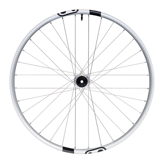 Ruota posteriore CRANKBROTHERS SYNTHESIS Alluminio 2.0 DH I9 29" 12x157 mm Super Boost Argento