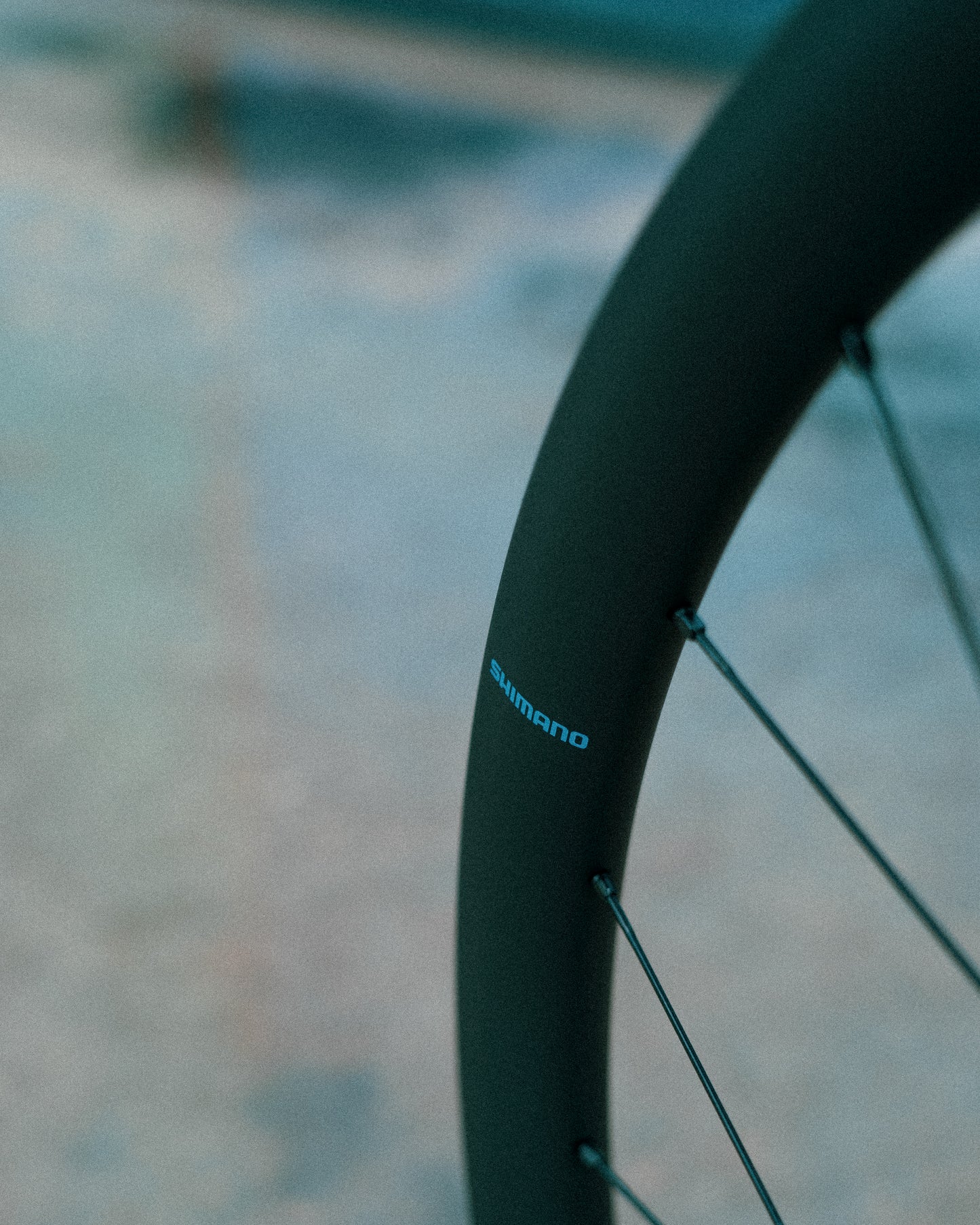 SHIMANO GRX WH-RX880 700c ruota anteriore Tubeless Ready (Center Lock)