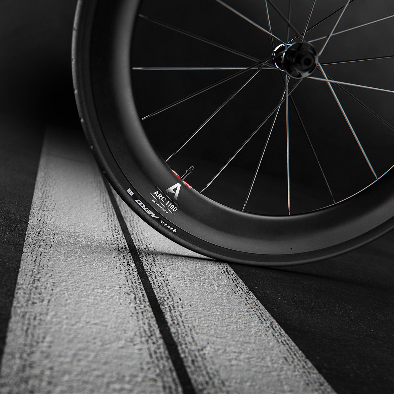 DT SWISS ARC 1100 DICUT WTS 55 Tubeless Ready ruota anteriore (Center Lock) emabrgo luglio