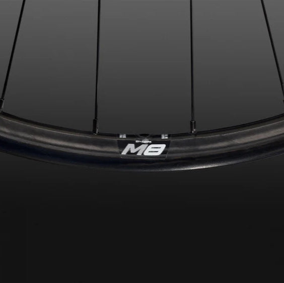 Cerchio posteriore ENVE M8 29" 29mm