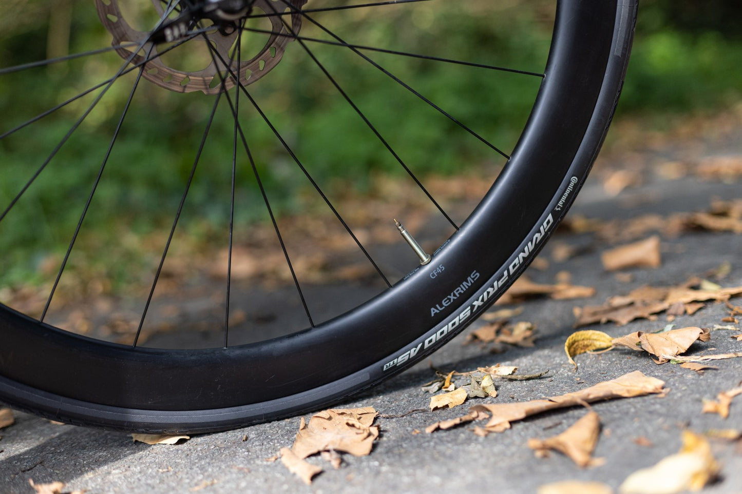 CONTINENTAL GRAND PRIX 5000 ALL SEASON 700c Tubeless Ready Nero Copertoni