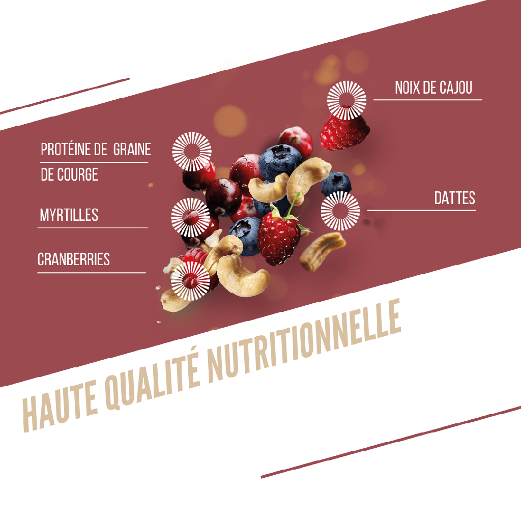 BAOUW ORGANIC EXTRA Frutti Rossi/Anacardi Barretta proteica (50g)