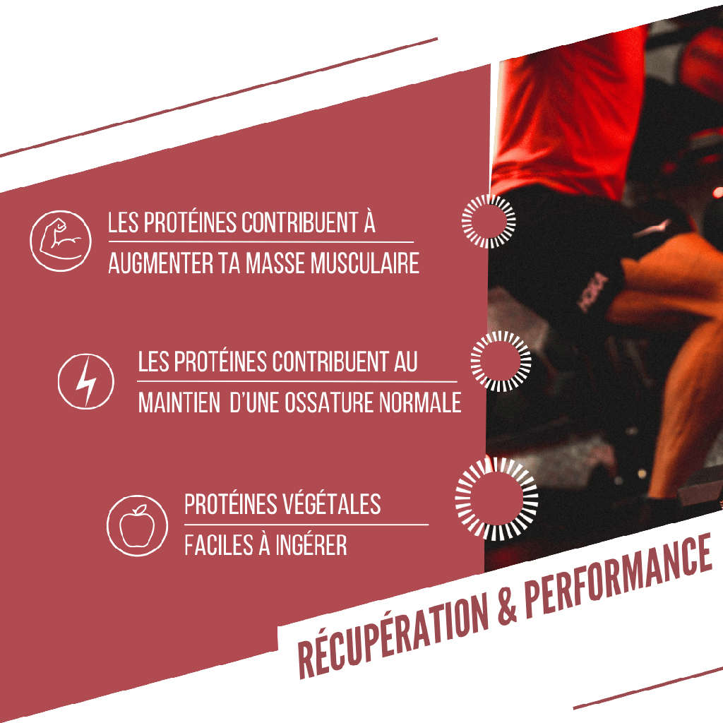 BAOUW ORGANIC EXTRA Frutti Rossi/Anacardi Barretta proteica (50g)