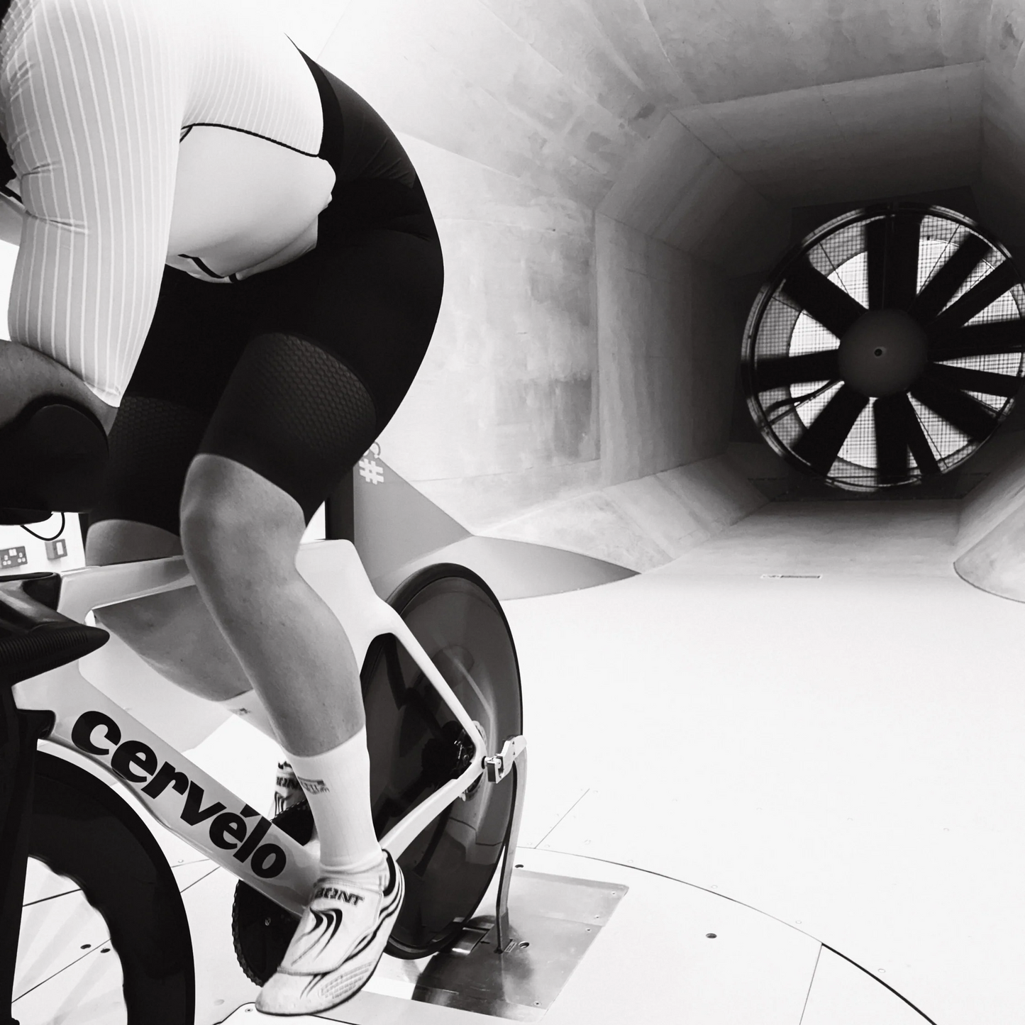 SPATZWEAR SPATZ AERO SOKZ Calzini bianchi