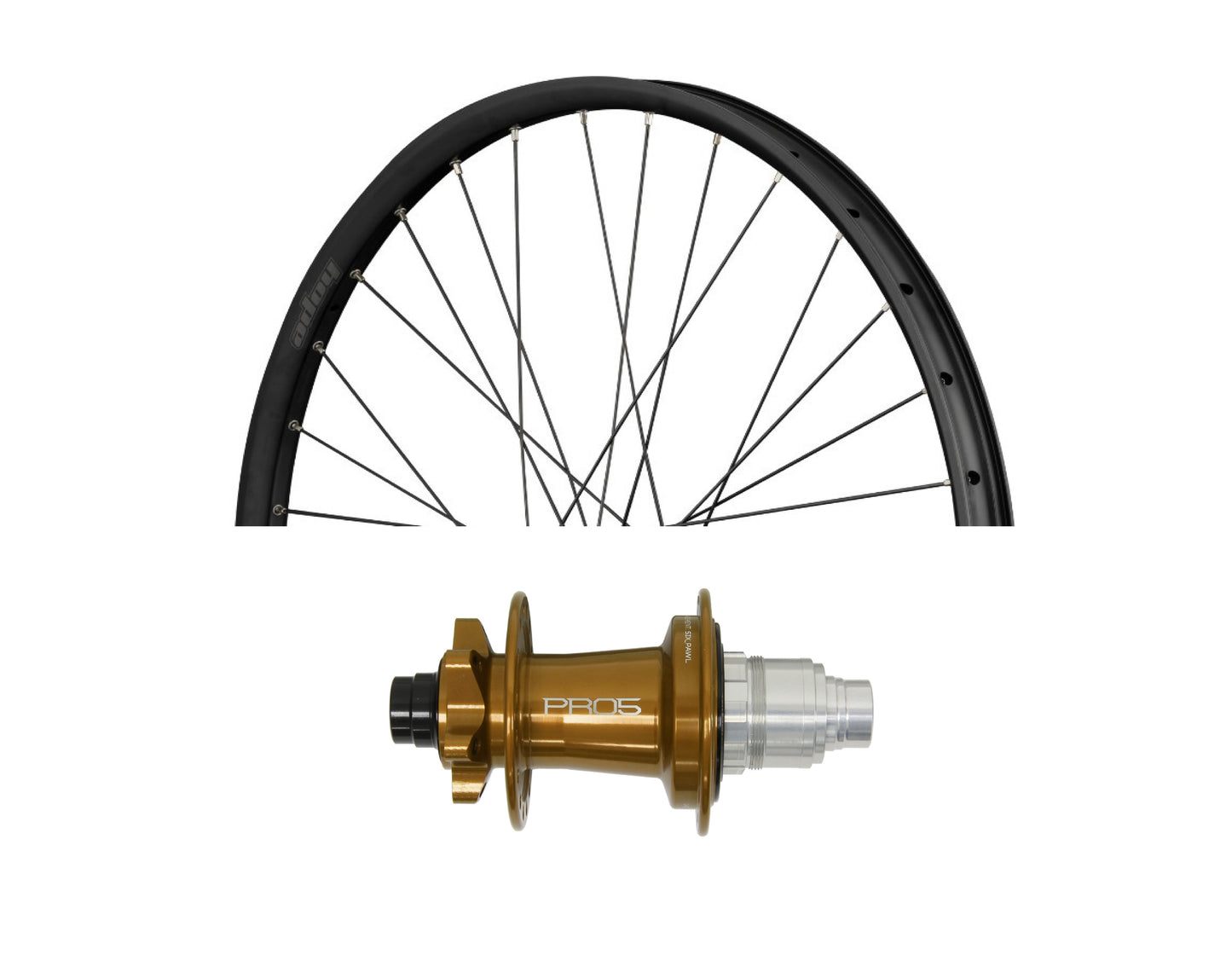 Ruota posteriore HOPE FORTUS 30 W 29" PRO 5 12x148 mm Bronzo