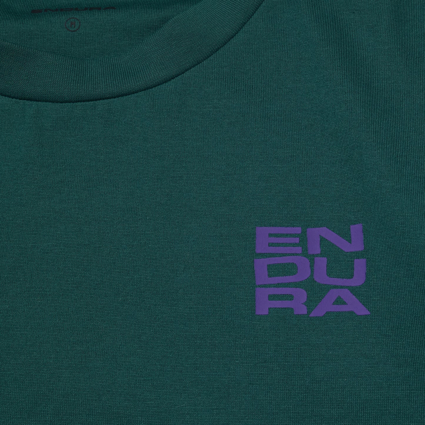 Maglietta ENDURA STACKED LOGO GRAPHIC Teal