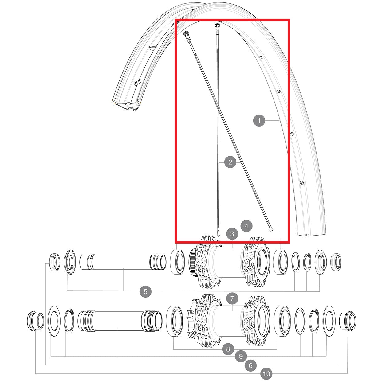 KIT 14 LATO GUIDA POSTERIORE EDEEMAX 29'' RAGGI PIATTI 303 + NIPPLO