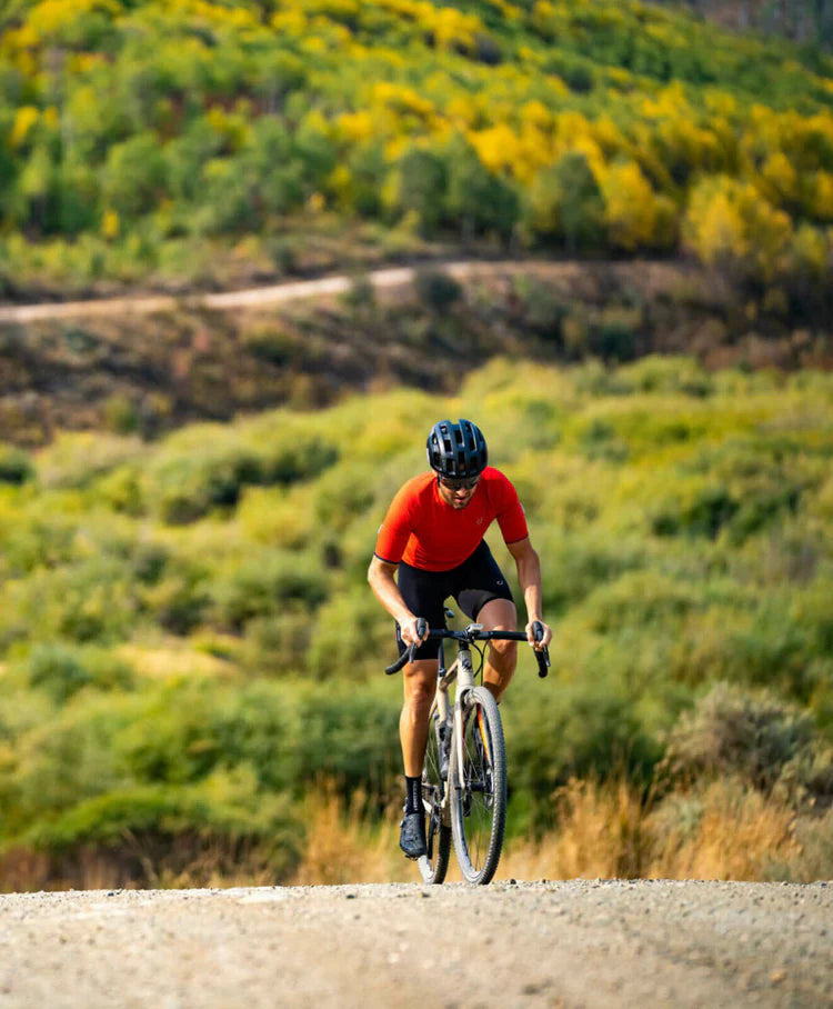 ENVE AG25 ruota posteriore Tubeless Ready (Center Lock)