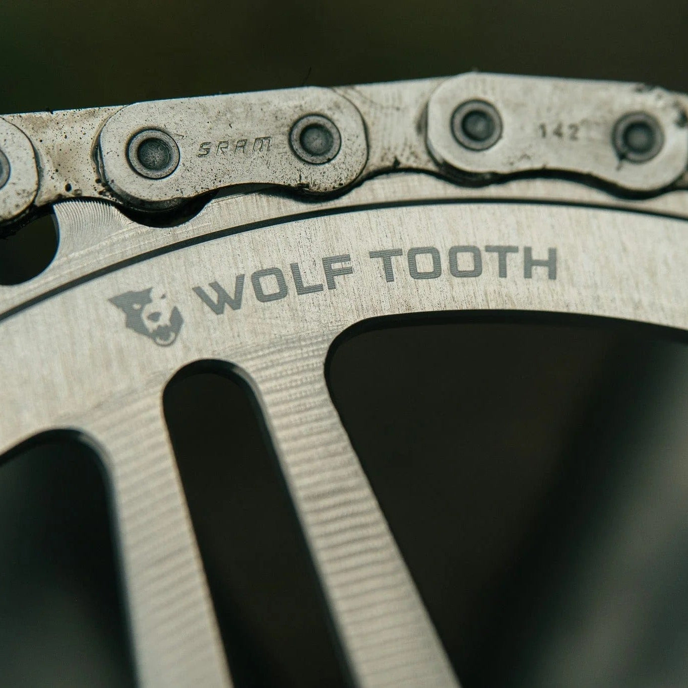 WOLF TOOTH GRAVEL Ingranaggio mono SRAM a 8 fori argento grezzo a montaggio diretto