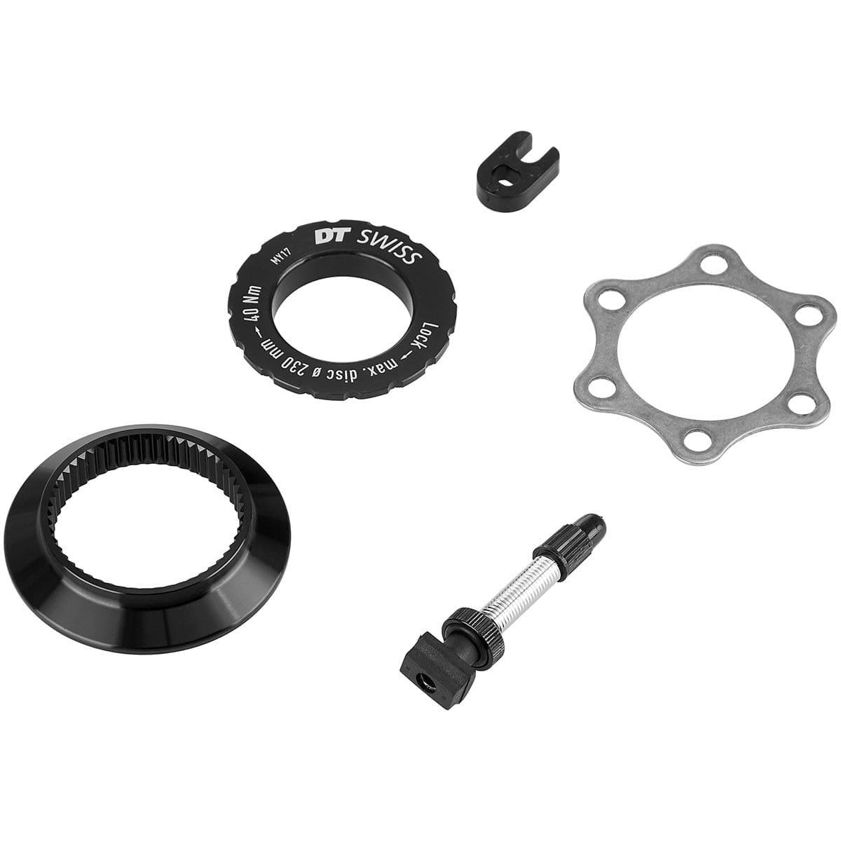 Coppia di ruote DT SWISS XR 1700 SPLINE 25 mm 29" 15x110/12x148 mm Boost