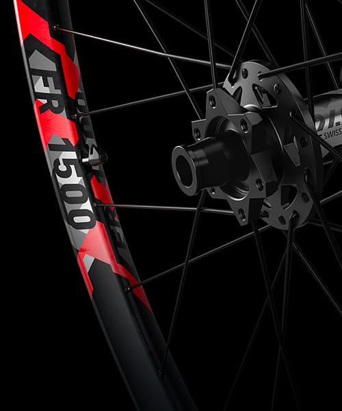 Mountain bike - Ruote MTB da 29".