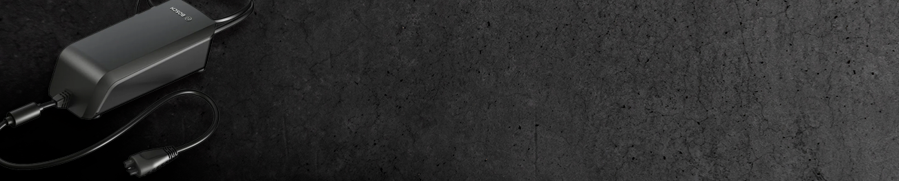 ELEC | Caricabatterie