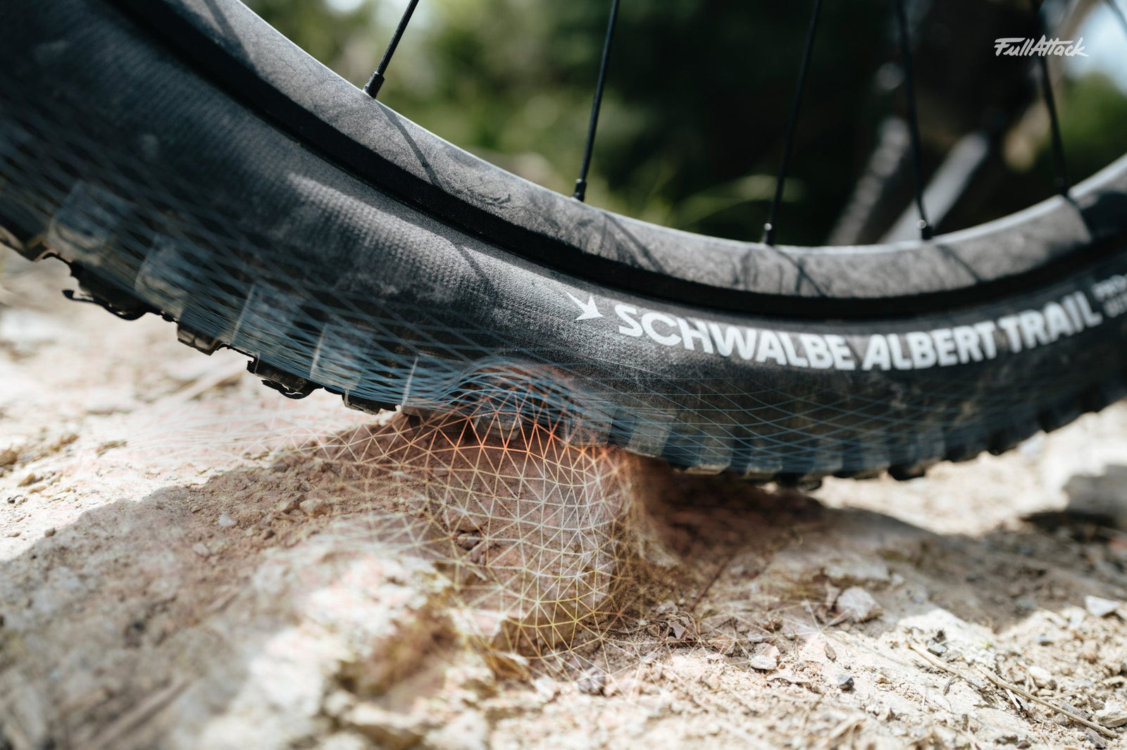 SCHWALBE RADIALE