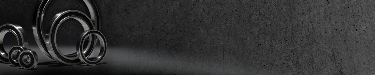 Mountain bike | Cuscinetti | Ceramica