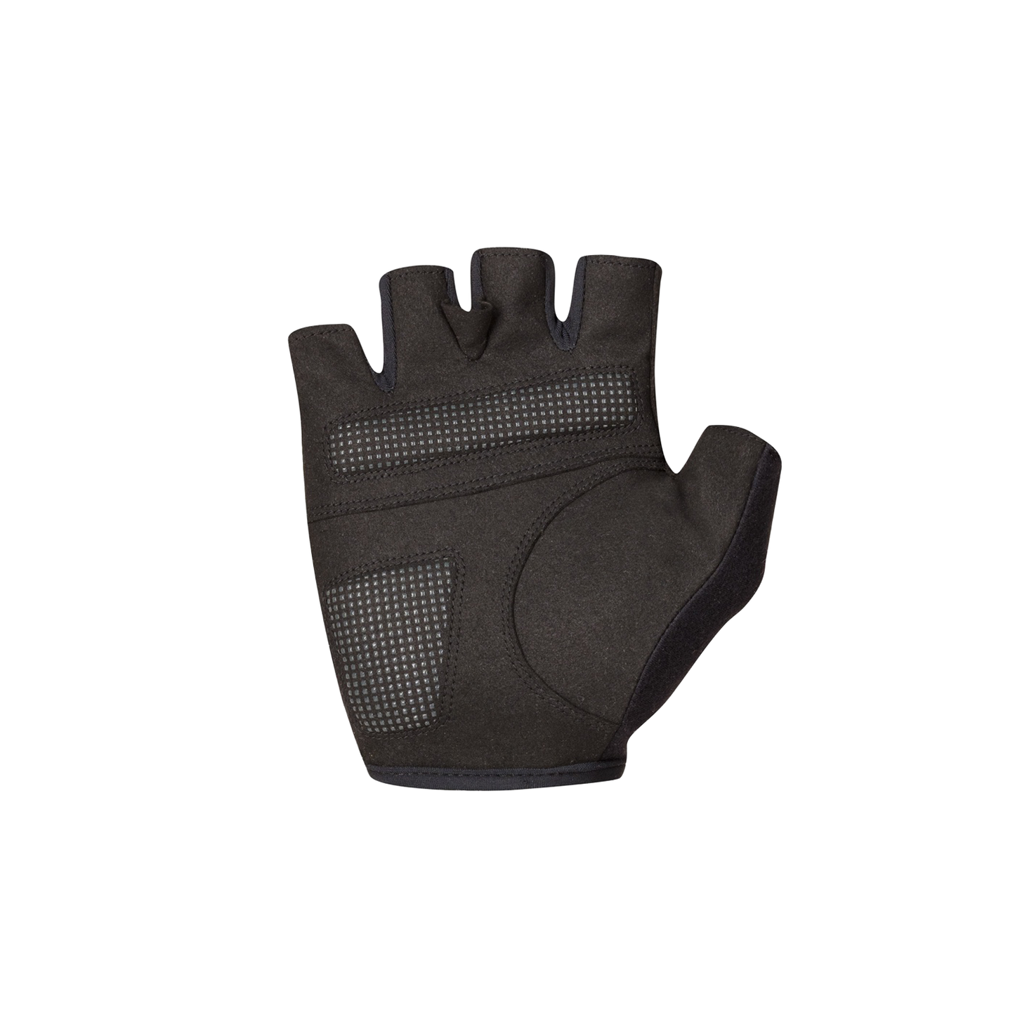 Guanti corti SPORTFUL CLASSIC Verde