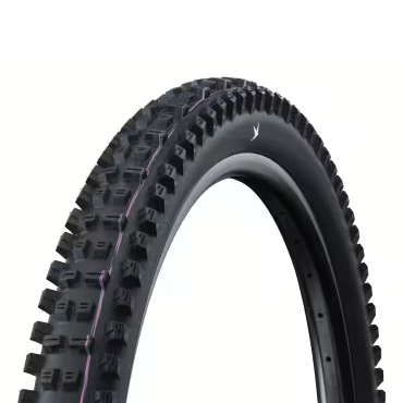 Pneumatico SCHWALBE TACKY CHAN GRAVITY PRO ULTRA SOFT RADIAL 29x2.50 Tubeless Ready Soft Black