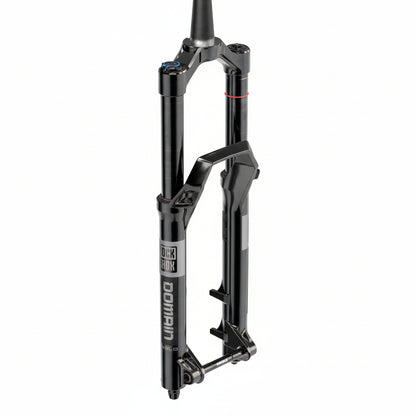 Forcella ROCKSHOX DOMAIN GOLD ISOLATOR RC3 29" Conica Asse 15x110mm Boost Nero
