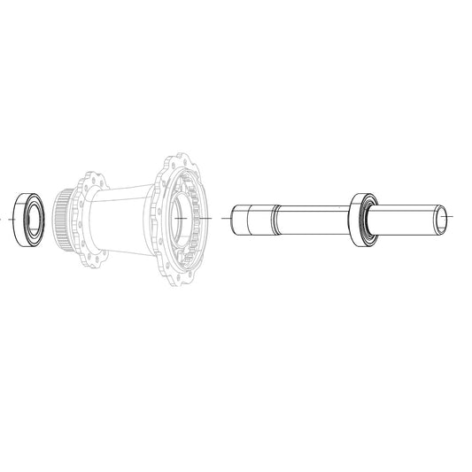 Asse Ruota Posteriore ZIPP Cognition NSW Disc Brake Cuscinetto posteriore #11.2018.052.001