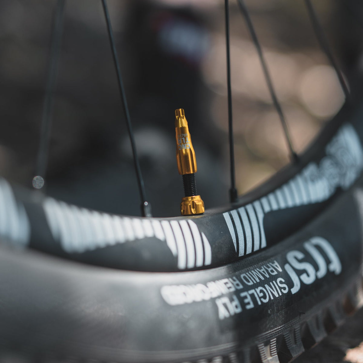 Set di 2 valvole tubeless LEZYNE CNC 44 mm argento