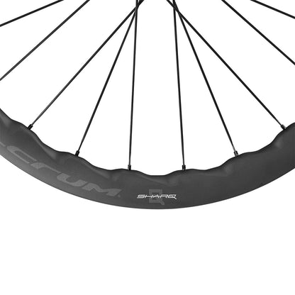 Ruota Posteriore FULCRUM SHARQ 42 700c (Center Lock)