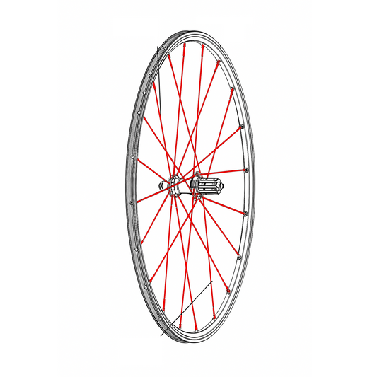KIT DI 12 RAGGI POSTERIORI MAVIC CROSSRONE/CROSSRIDE FTSX 262MM