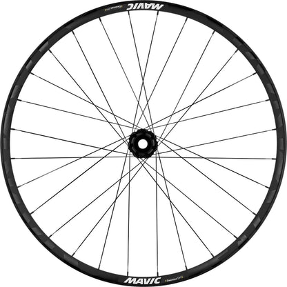 Ruota Anteriore MAVIC DEEMAX DH 29" 15x110 Boost