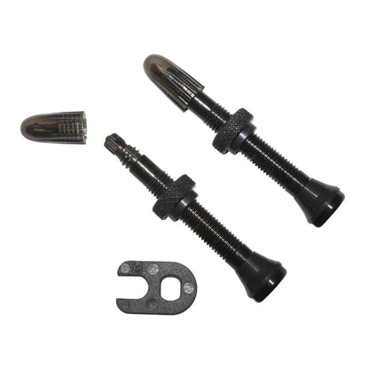 Valvole Tubeless SCHWALBE Presta (x2)