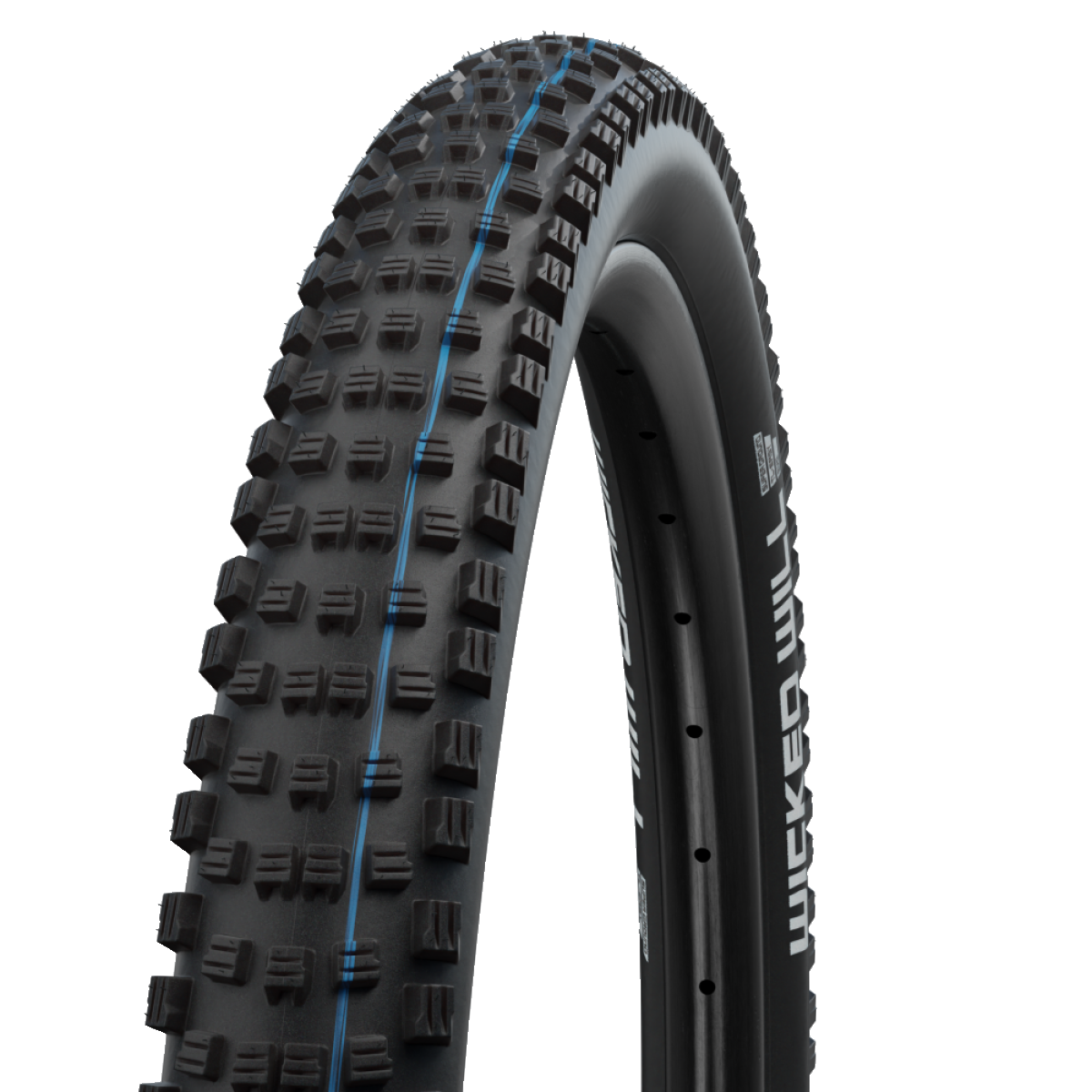 Copertone flessibile SCHWALBE WICKED WILL 29x2.60 Addix Performance TubeType Nero