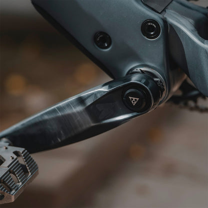 Multi-Utensile TOPEAK BB HIDE'N TOOL