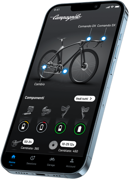 Gruppo CAMPAGNOLO SUPER RECORD WRL 2x12V