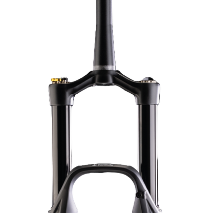 Forcella FORMULA SELVA S 29" Asse 15x110mm Boost Nero