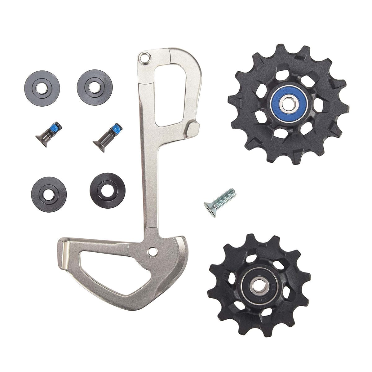 Kit Galets et Cage Intérieure 12V SRAM EAGLE XX1 #11.7518.077.000 / 11.7518.077.010 Gris