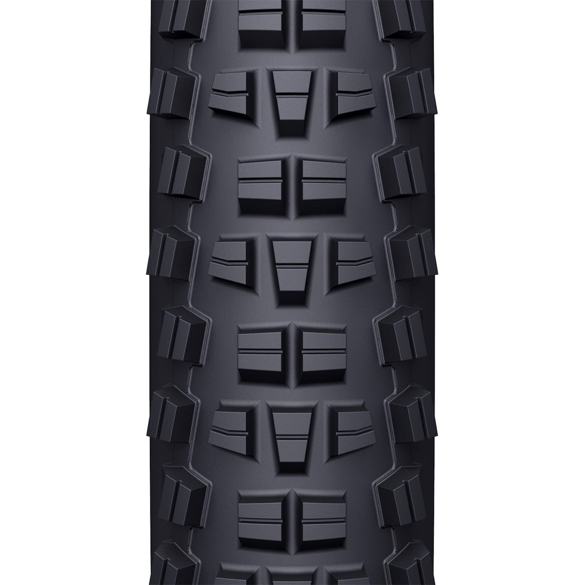 Pneu WTB TRAIL BOSS 29x2,60 TCS Tough Tubeless Ready Souple W010-0898